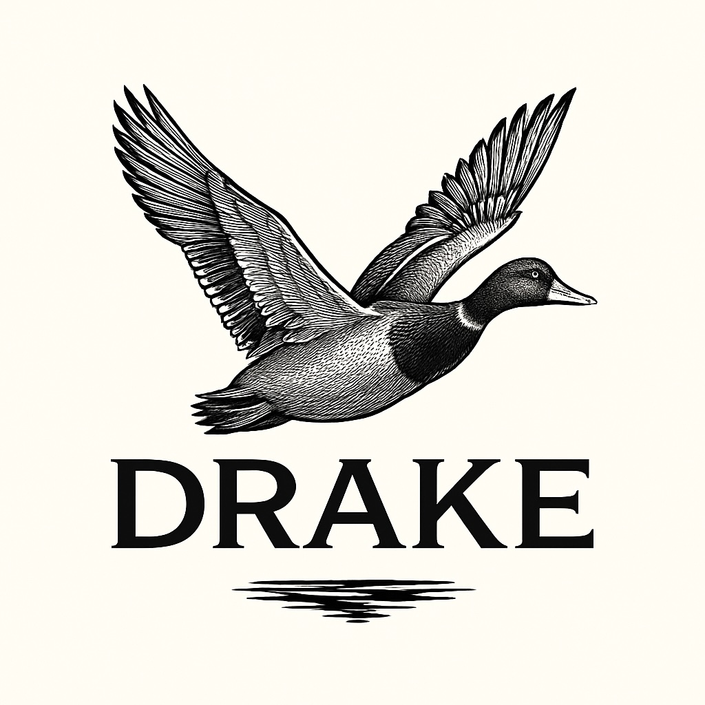 Drake Commerce - Fractional Executive Leadership